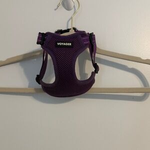 Voyager Comfort Fit Purple Dog Harness